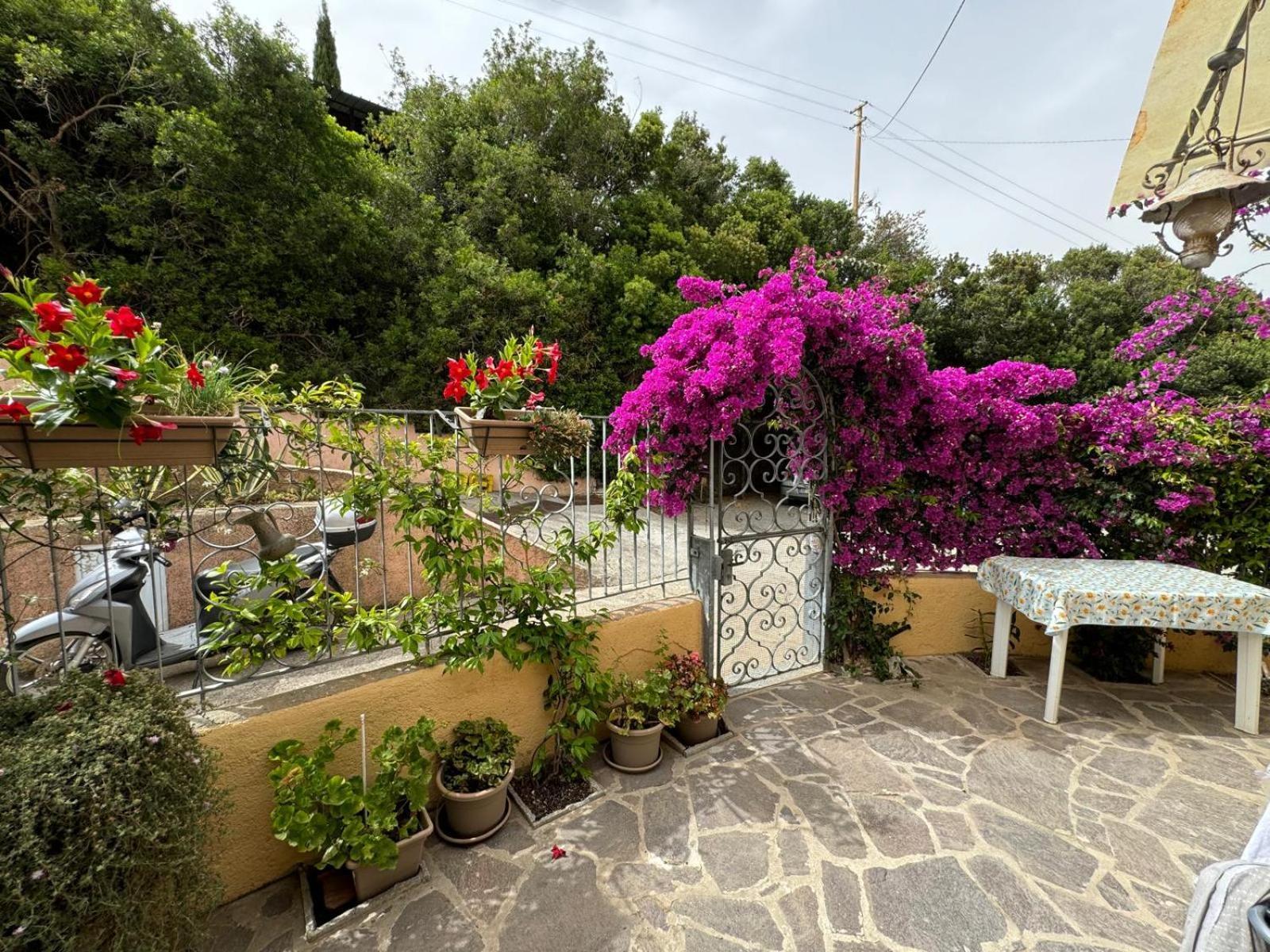 Ferienwohnung Villino Norsi Portoferraio Exterior foto